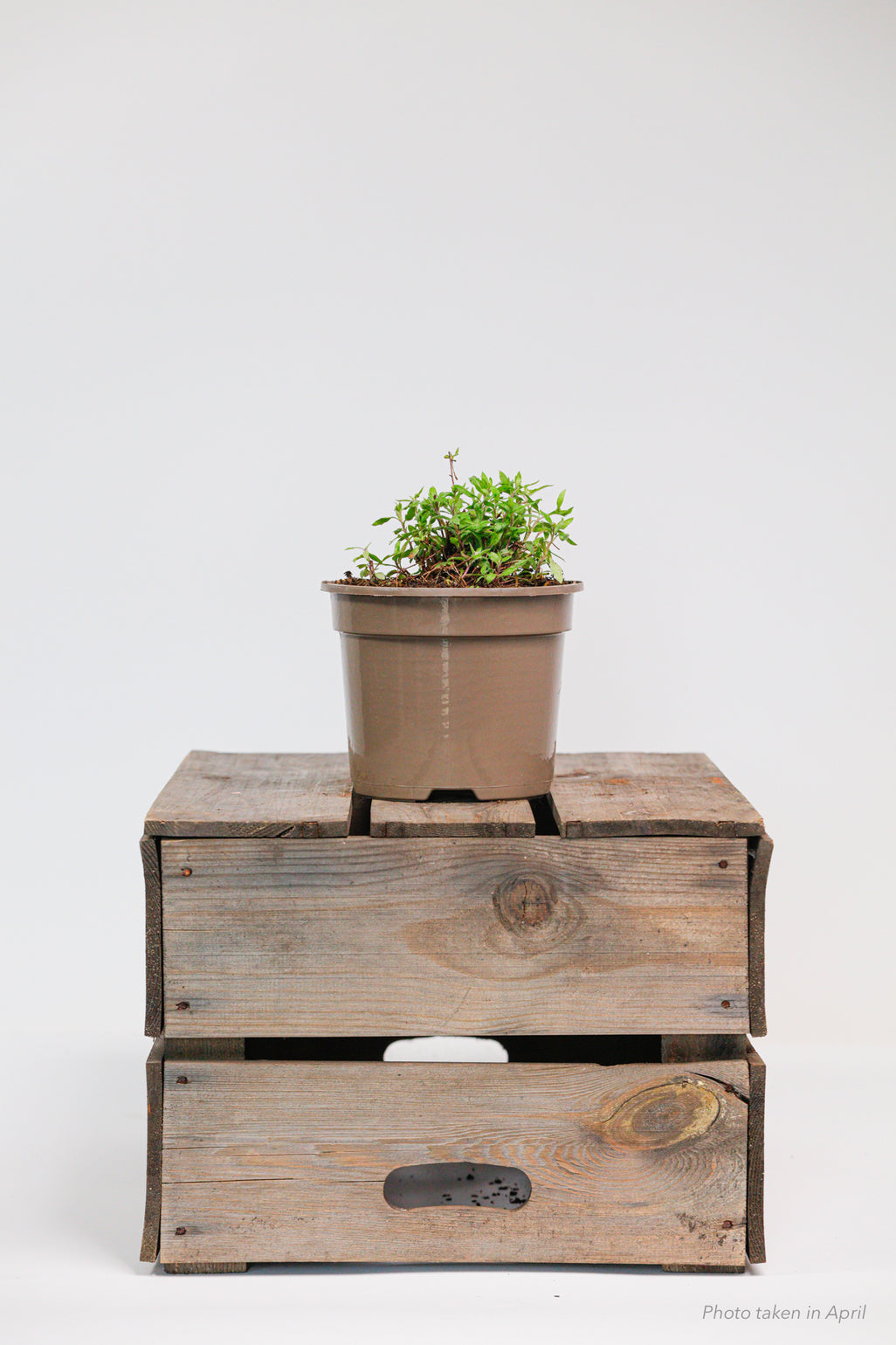 products/SotoProductShootLowQ-1914.jpg
